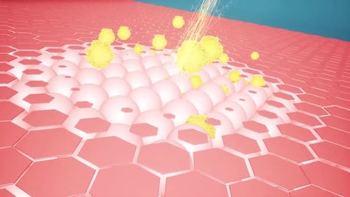 3D Animation of Skin Cells and Repair Process