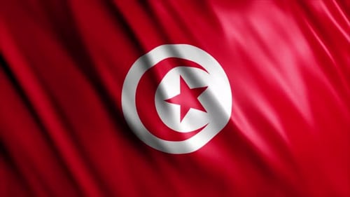 Waving Tunisian Flag Seamless Loop Animation