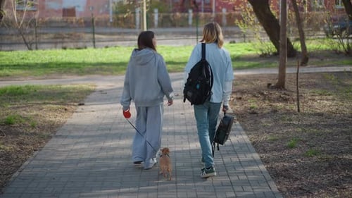 Caucasian Friends Leisurely Walk with Small Dog Two Friends of Caucasian Ethnicity Enjoy Gentle Walk