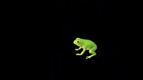 3D Animated Green Frog Leaping Across Screen