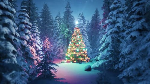 Christmas Tree In A Forest V02 HD