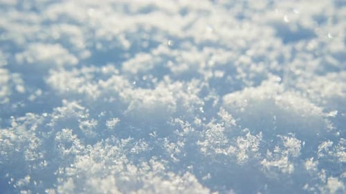Winter Snowflakes Sparkle in Soft Sunlight on a Serene Landscape