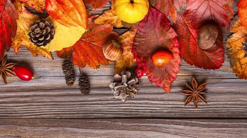 Autumn Harvesting and Thanksgiving Background Fall Dried Leaves Nuts Berries Quince Chestnuts on