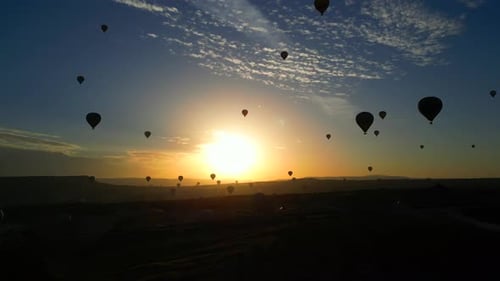 Hot Air Balloons Ascend at Sunrise