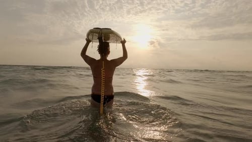Female surfer surfboard with walks into ocean or sea to surf breaking waves at golden sunset