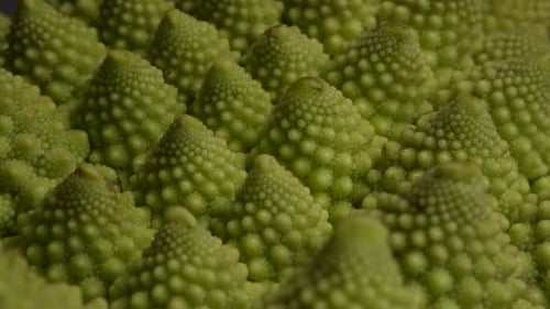 Romanesco Cauliflower 16