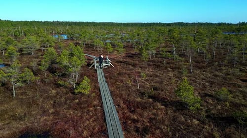 High angle shot of young woman standing on wooden pier looking around estuary during evening time.