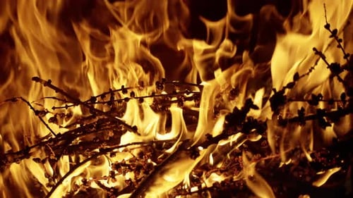 A Vivid Closeup View Capturing the Intense Flames Swirling Smoke and Glowing Embers of a Fierce Fire