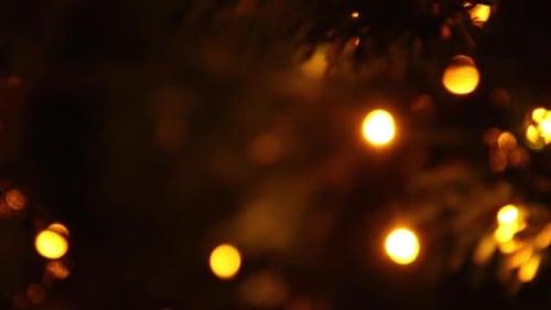 Closeup of Christmas-tree. New Year's background with holiday lights. Changing focus on lights on go
