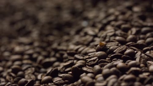 Roasted Coffee Beans Turn in Roaster