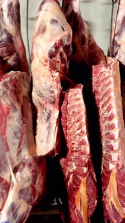 Hanging Cuts of Fresh Meat in a Butcher Shop Showcasing Various Textures and Colors of Meat