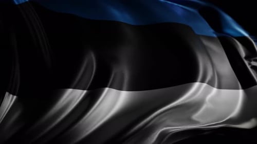 Estonia Flag Waving Loop Digital Animation