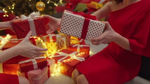 Women Exchanging Christmas Gifts Under the Christmas Tree