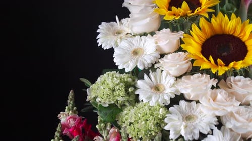 Floral arrangement close up sunflower daisy lily roses paradise flower slider