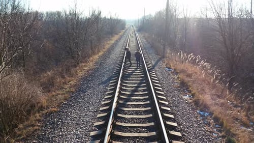 People walking along the rails in the middle of the forest