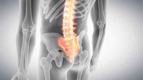 Human spine anatomy highlighted with glowing yellow and orange light