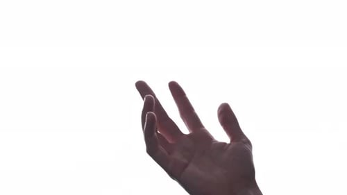 Man Hand With Palm Open Waiting To Receive Something, Isolated In White Background - close up, studi