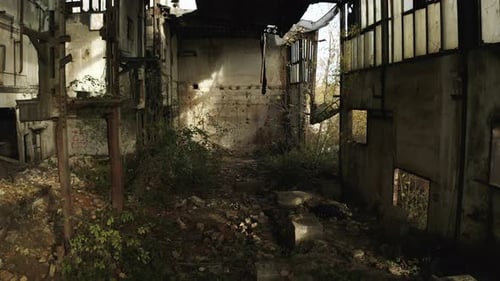 Plantas que crecen dentro de un almacén de concreto en ruinas