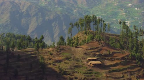 Trees at top of the mountain aerial flight, showing a small hut at the mountain, Majestic and beauti