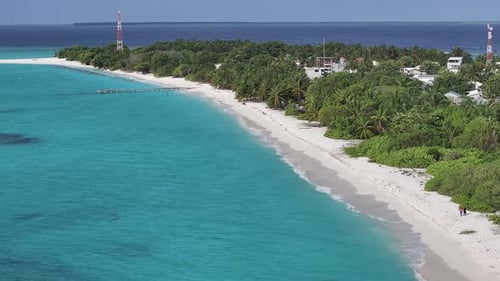 Aerial view of tropical beach with palm trees, Maldives.