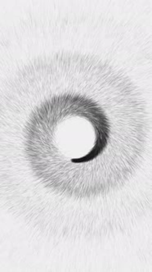 Vertical Video - Abstract Black and White Spiral Particles Background