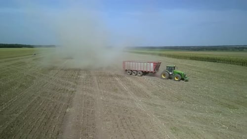 Corn Silage Harvesting with Forage Harvester on Field