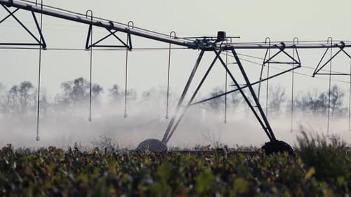 Irrigation System Watering Crops on Rural Farmland