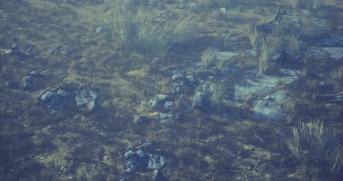 Overhead Camera Movement Over Dry Rocky Terrain