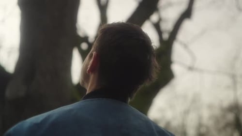 Hombre mirando un árbol