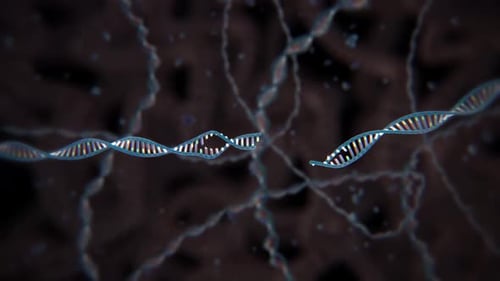 Structure en double hélice d'ADN aux couleurs éclatantes