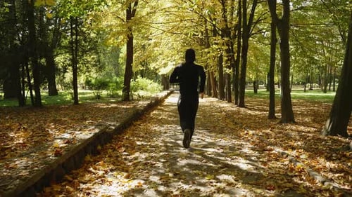 A Man Runs Through a Park Covered with Yellow Leaves