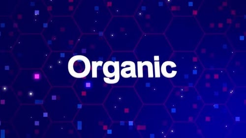 Digital Hexagon Grid Background with Animated Text Reveal