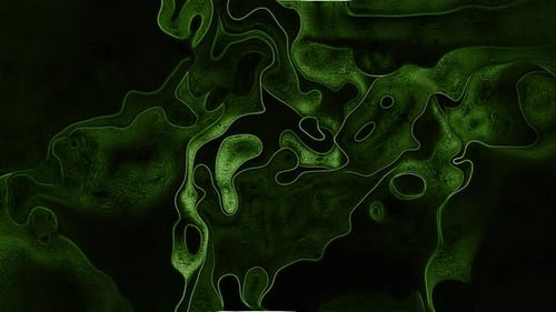Dynamic Green Abstract Organic Flowing Lines Background