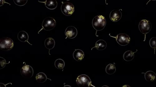 Falling Mini Eggplants Seamless Loop Animation