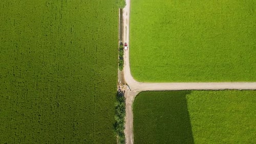 Aerial view of lush green agriculture fields and roads, Pakistan.