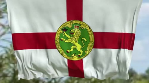 Waving Alderney Flag Animation