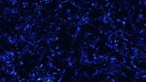 Futuristic database concept animation. Blue color abstract motion background.