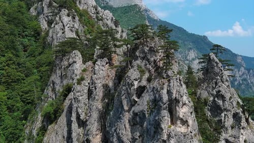 Kiefer auf den Felsen, Berglandschaft