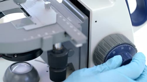 Gloved Hand Adjusts Knob on Microscope in Lab