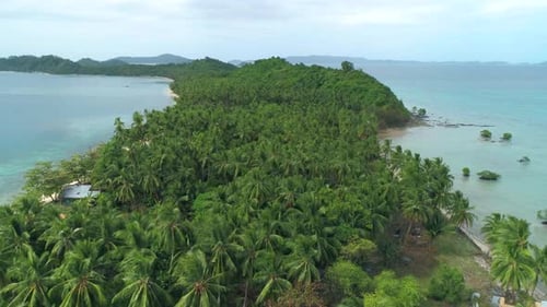 Aerial View of a Tropical Island with Palm Trees and White Sand Beaches Amazing Tropical Island in