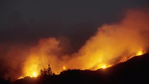 The Malibu Fire Emergency Response Initiative Will Take Place in 2025