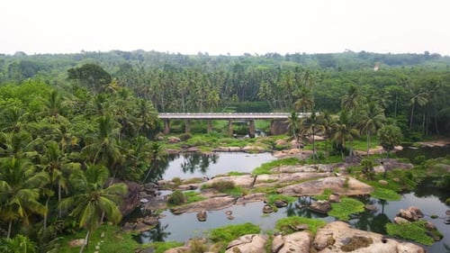 aerial drone shot of Kerala's tropical forest, with a meandering river surrounded by coconut palms.