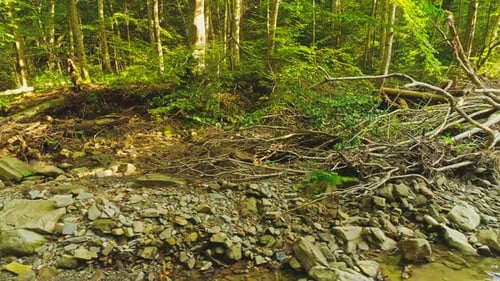 Aerial Footage Mountain River Flowing Among Stone Boulders and Logs