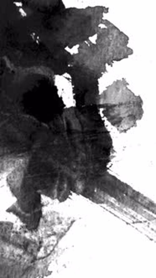 Fluid Ink Paint Brush Stroke Transitions Pack