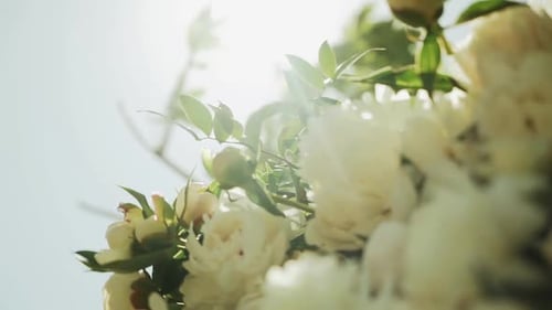 Close Up View of Wedding Floral Decorations of Flowers in Pastel Faded Colors Slow Motion Sun Rays