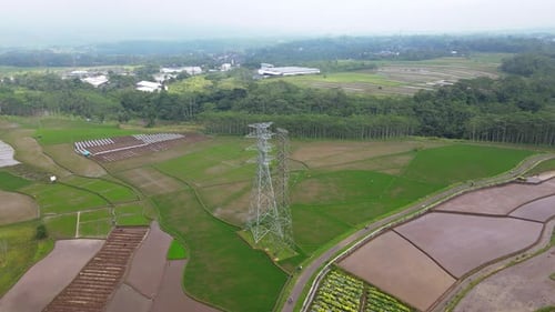 Orbit drone shot of high voltage electricity tower on the middle of rice field