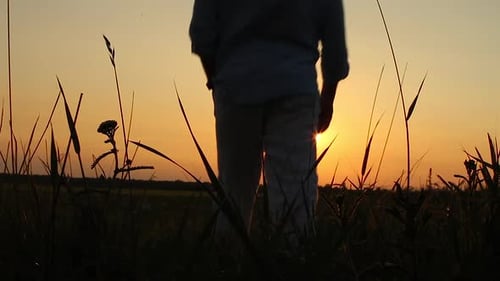 Tranquil Man is Standing on a Field meeting Sunset.