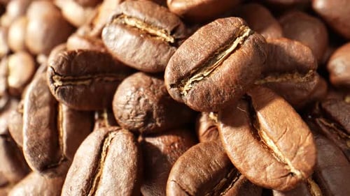 Beautiful coffee beans. Close-up macro video. 4K