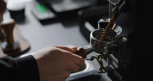 Barista Pouring Ground Coffee From Coffee Grinder Machine In Cafeteria Enjoy Brewed Americano