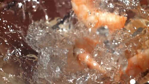 Shrimp Splashes Fall Into the Water Filmed on a Highspeed Camera at 1000 Fps